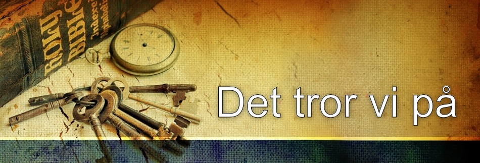 Bible Study Website Banner